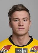 Gulbrandsen F.