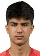 Sertdemir Z.