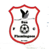 Sua Flamingoes