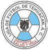 Liga de Futbol de Tehuacan