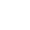 Swansea City U21